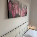 Bg 3* 贝尔加莫